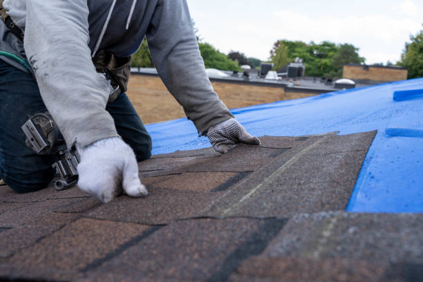Quick and Trustworthy Emergency Roof Repair Services in Cedar Crest, MA